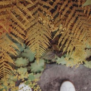 Meet your Posher, Drew